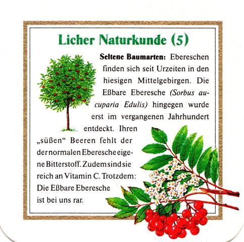 lich gi-he licher naturkunde 5b (quad185-eberesche 5) 